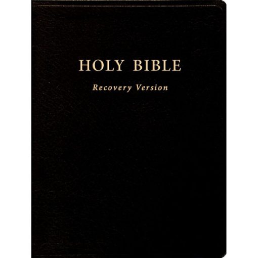 Holy_Bible_Recover_Enlish