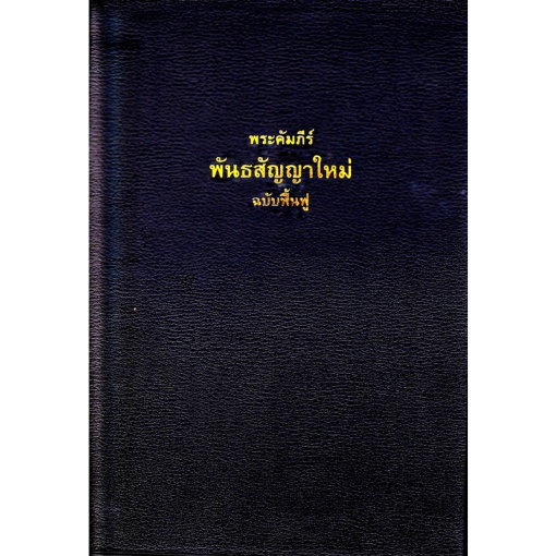 bible-recovery-version-thai-black_800x800